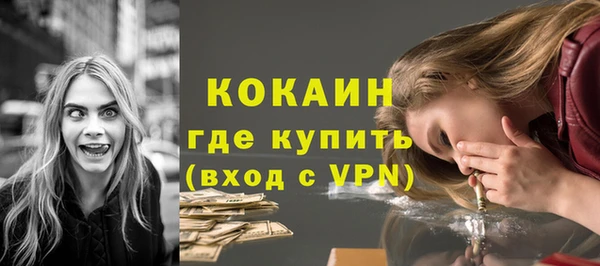 стаф Богданович